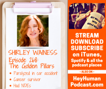 <h5>Shirley Wainess: The Golden Pillars</h5>